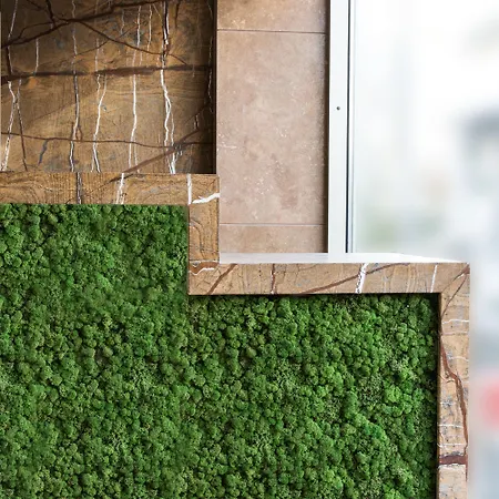 Ddream Saint Julian's