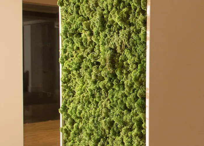 Ddream 3* Сент Джулианс